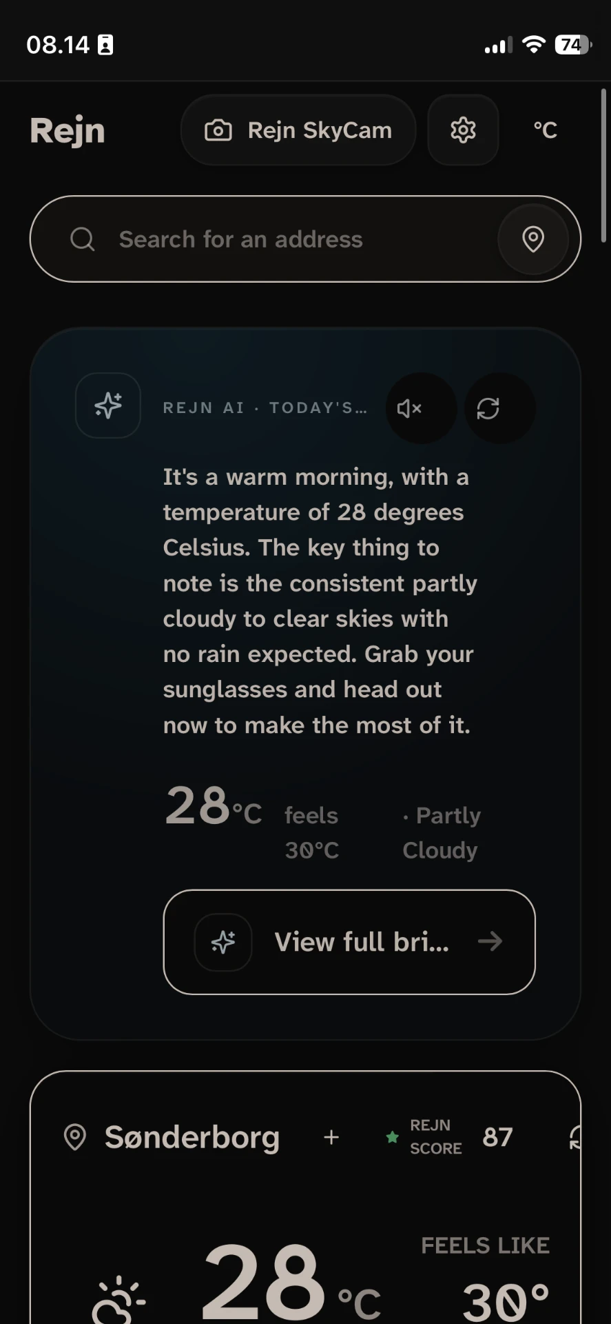 Rejn weather details interface